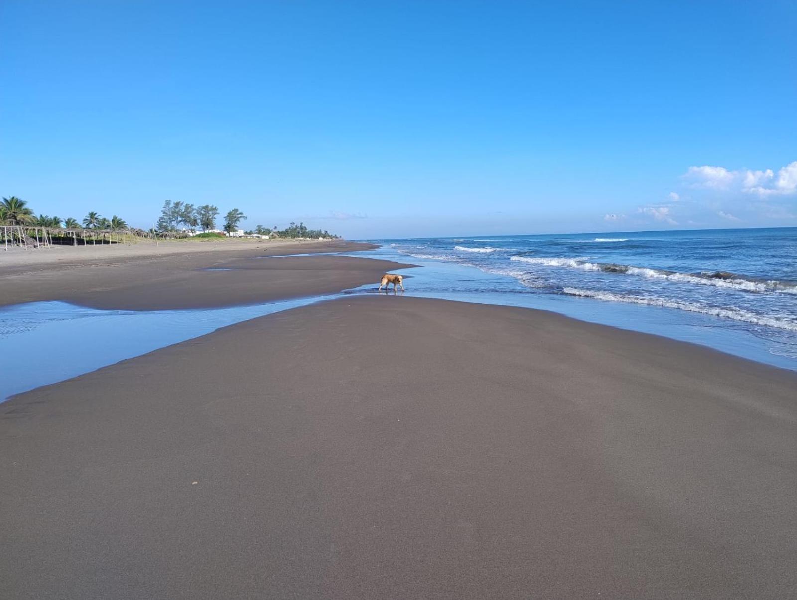 Playa Encantada 카시타스 외부 사진